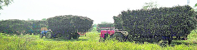 విజయనగరం4