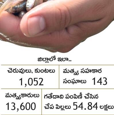 మత్స్యబీజ సంబురం 1