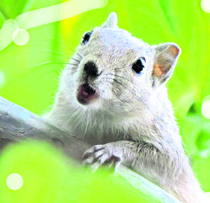 ఉల్లాసంగా.. ఉత్సాహంగా... 5