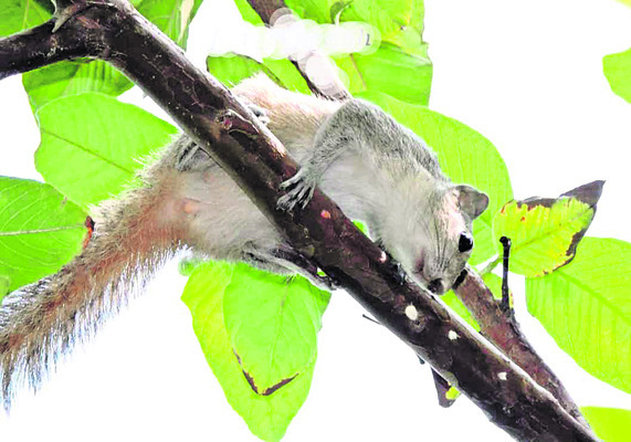 ఉల్లాసంగా.. ఉత్సాహంగా... 4