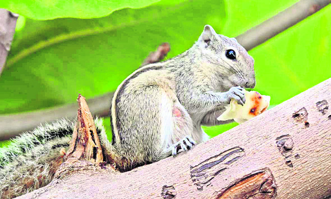 ఉల్లాసంగా.. ఉత్సాహంగా... 1