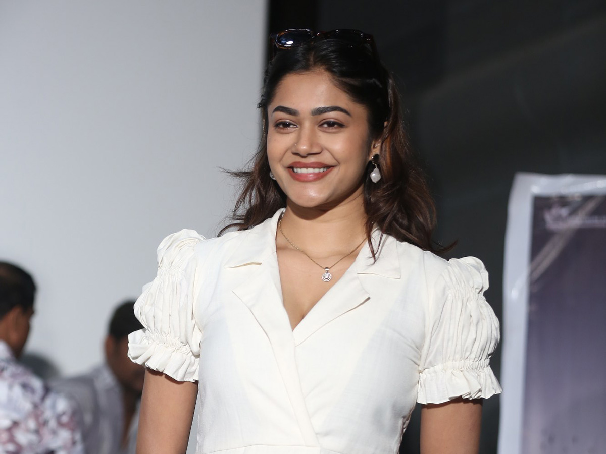 Mr Work From Home Movie Teaser Launch Photos13