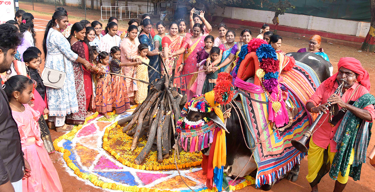 Sankranthi Sambaralu 2026 At Vijayawada10