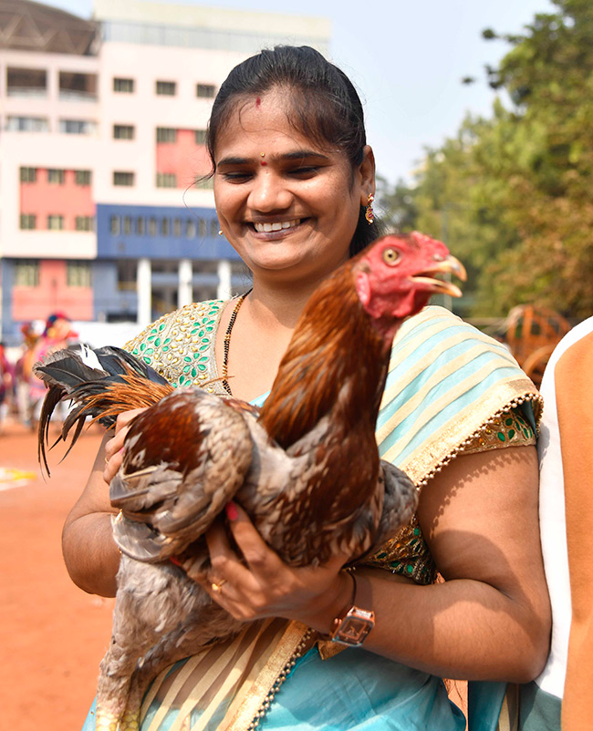 Sankranthi Sambaralu 2026 At Vijayawada18