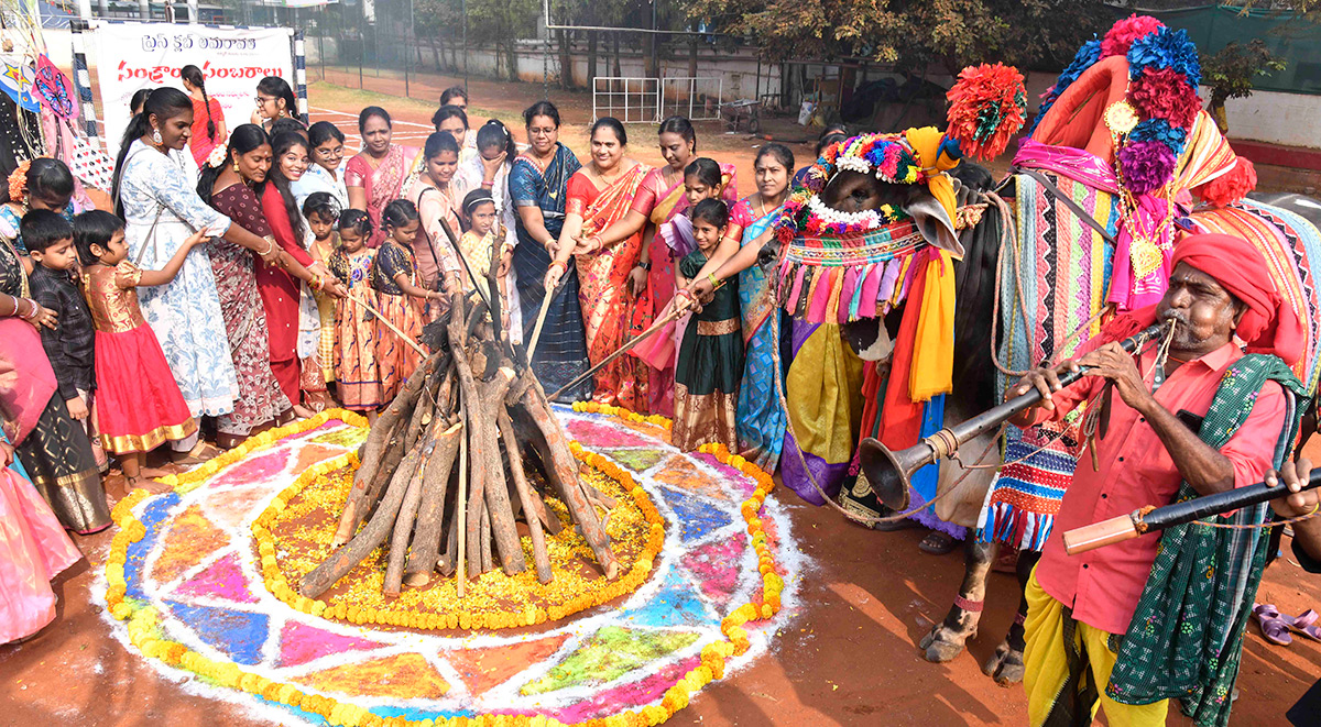 Sankranthi Sambaralu 2026 At Vijayawada3