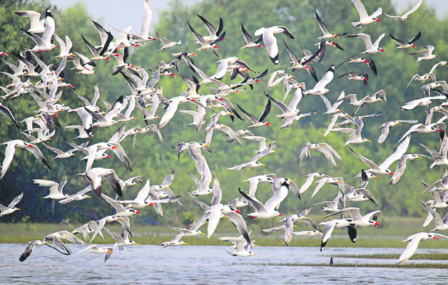 అణువణువూ జల్లెడ1