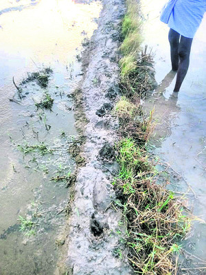 ఇసుక లోడింగ్‌    నిబంధనలు పాటించాలి2