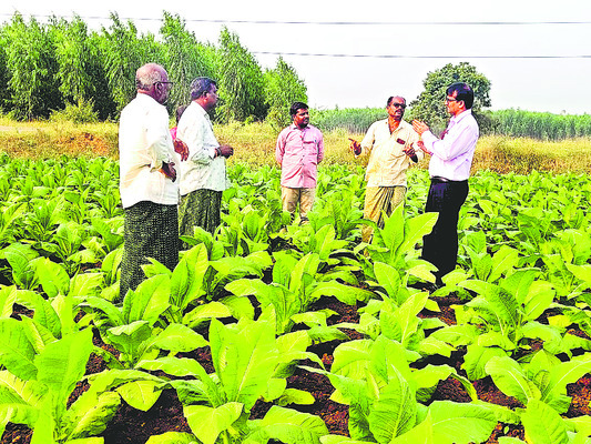 నాణ్యమైన దిగుబడులు సాధించాలి 1