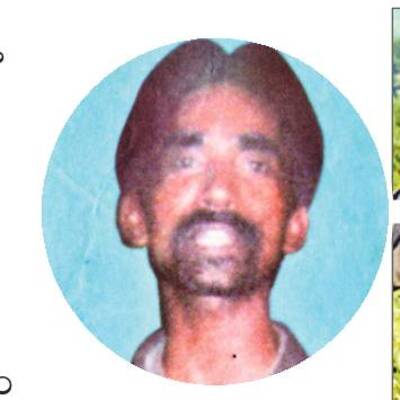 ఆ పదిహేడు మందిలో స్వామి!1