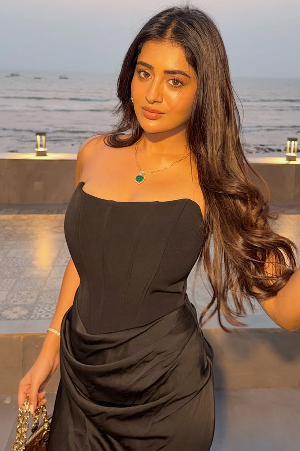 Actress Raashi Birthday celebration on The Beach In Goa Photos2