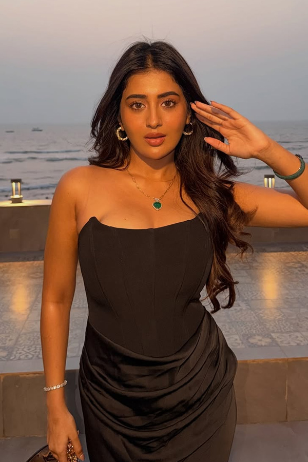 Actress Raashi Birthday celebration on The Beach In Goa Photos13