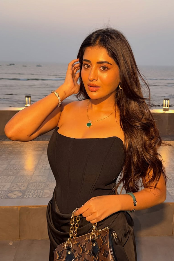 Actress Raashi Birthday celebration on The Beach In Goa Photos9