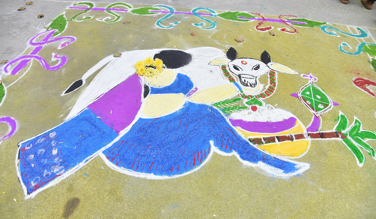 Sankranthi 2026 : Muggulu Competition Sakshi News18