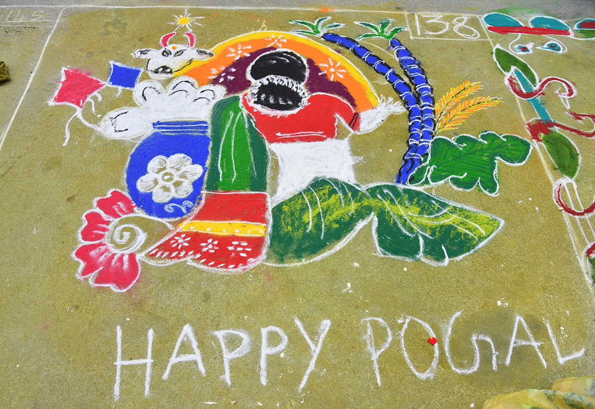 Sankranthi 2026 : Muggulu Competition Sakshi News19