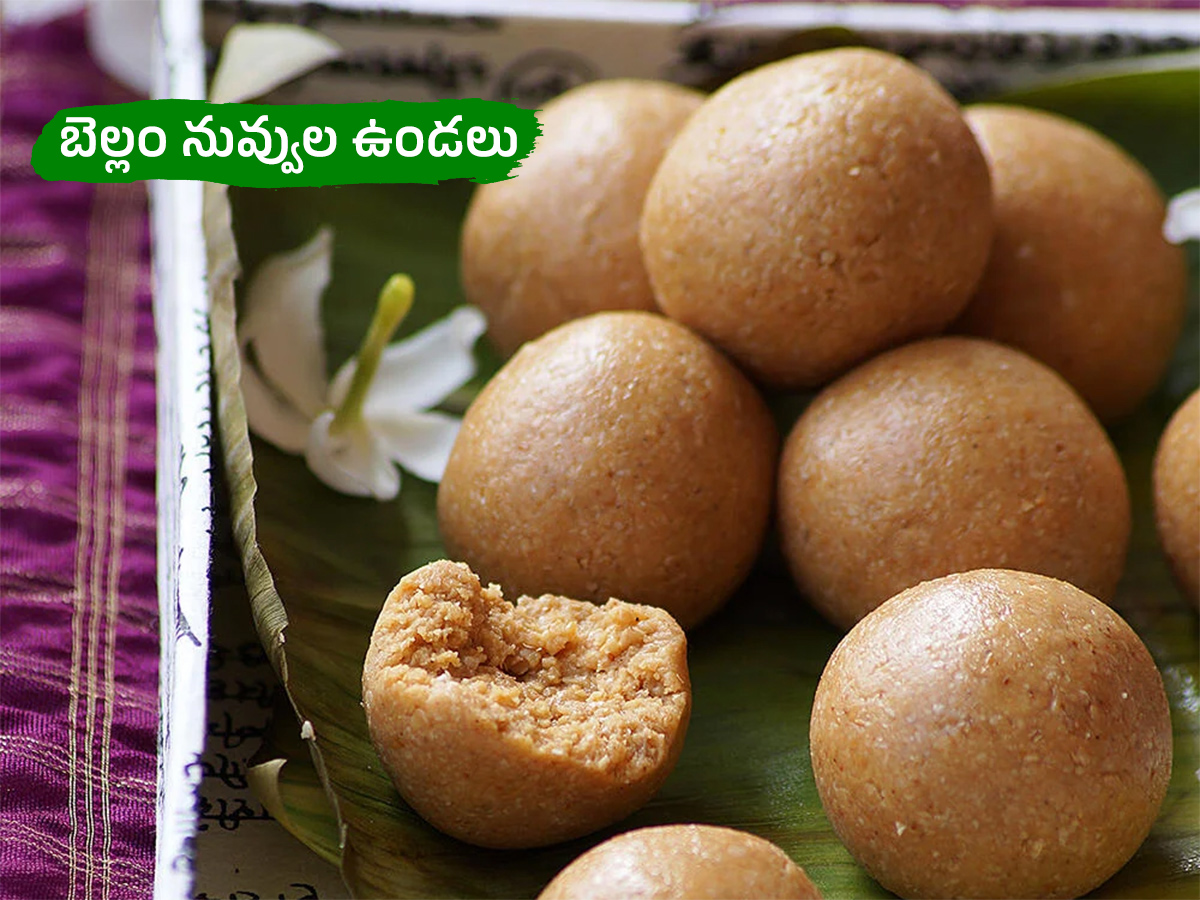 Sankranti 2026 Special Recipes Photos10