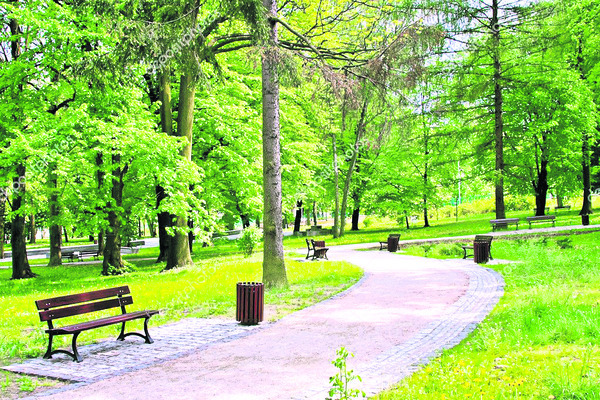 సాస్కీతో వెలుగులు3