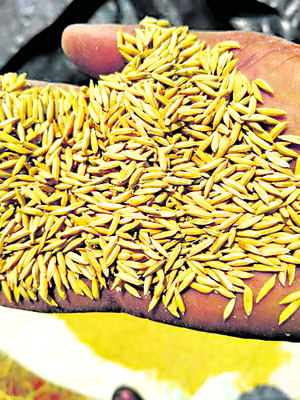 616 ఫిర్యాదులు  
1