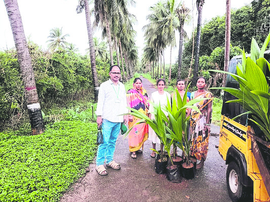 గిరి.. కొబ్బరి సిరి 2