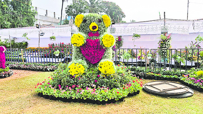 పూల షోయగం 3