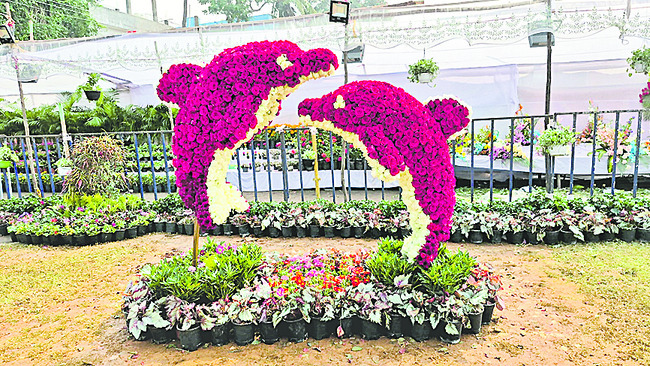 పూల షోయగం 2