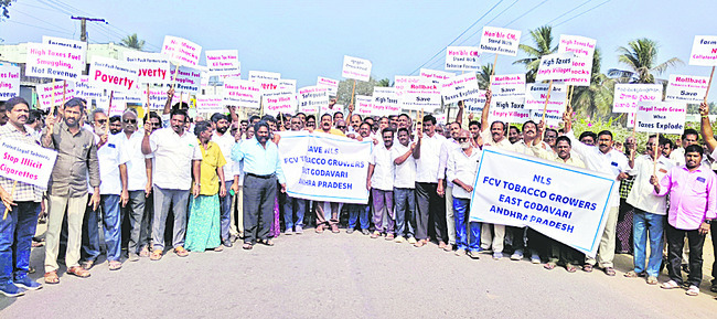 జీఎస్టీ పెంపుపై పొగాకు రైతుల నిరసన 1