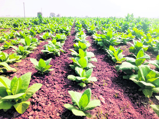 వైఎస్సార్‌సీపీ హయాంలో ఇలా..1