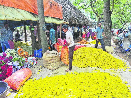 బతుకు పూలబాట1