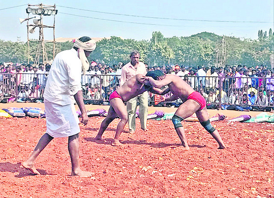 కన్నడకు కువెంపు సేవలు భేష్‌2