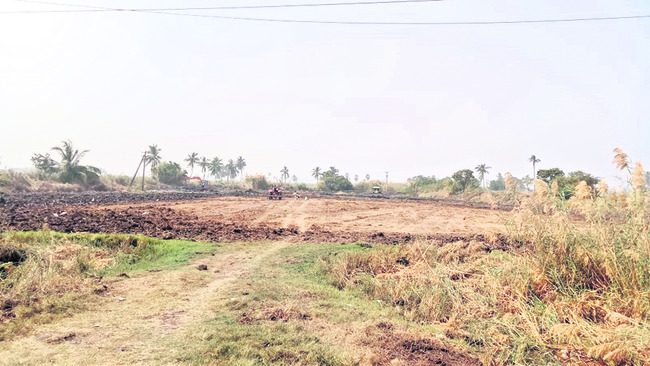 బరుల తయారీలో టీడీపీ నేతలు  
1