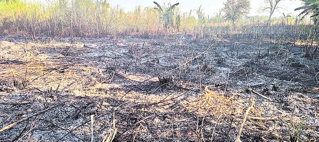 రాష్ట్రంలో పెరిగిన చలిగాలులు 1