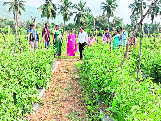 టీటీడీకి రూ.10 లక్షల విరాళం 1