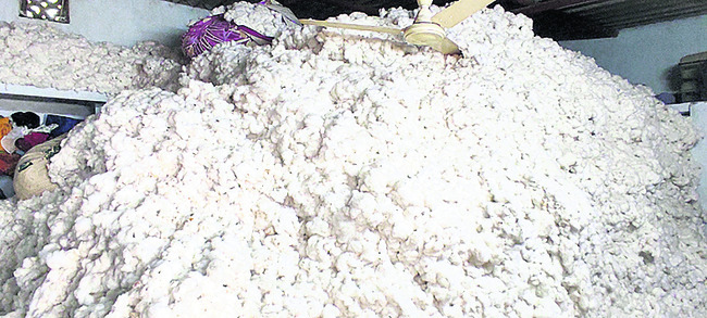 ● ఆశించిన ధర లేక రైతుల ఇళ్లలోనే పంట నిల్వ ● భద్రత చర్యల1