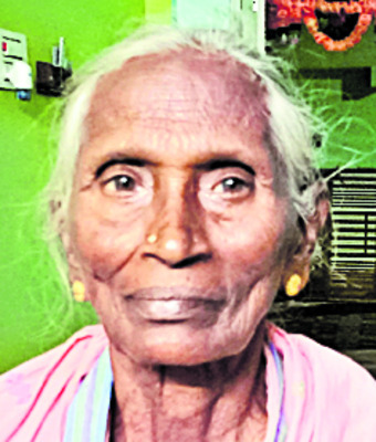 ఉపాధి పనులే ఆధారం 1