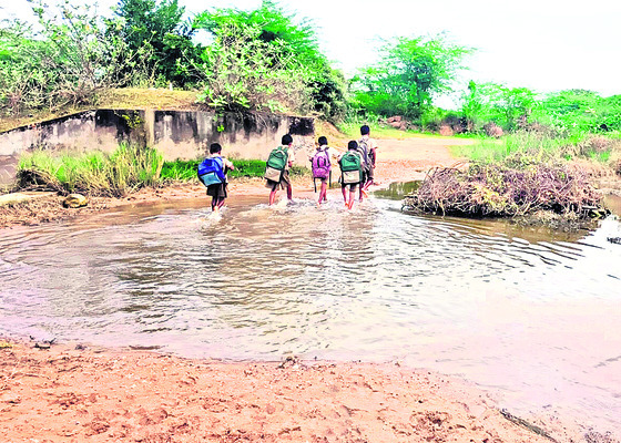 కాలువలో తడిసేలా.. చూస్తే జడిసేలా!1