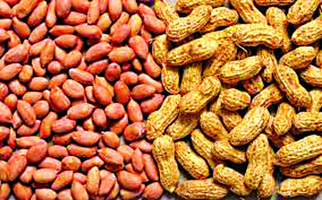 సమాజంలో  భాగస్వాములు కావాలి 1