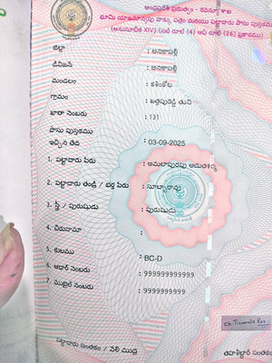 తప్పులు.. రైతులకు తిప్పలు 1