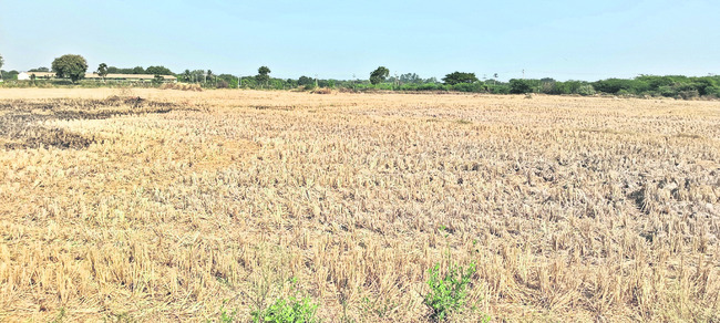 క్రాప్‌ హాలిడే 1