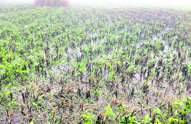 ‘ప్రారంభించని పనుల  వివరాలు ఇవ్వండి’ 2