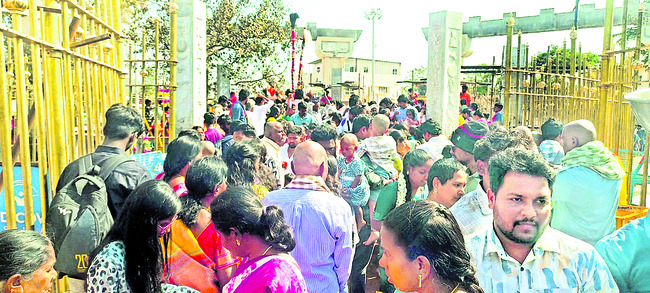 వనదేవతలకు.. మొక్కులు
2