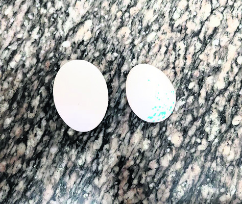 నేడు ఎపీఎన్‌జీజీవోస్‌  జిల్లా శాఖ ఎన్నికలు 1