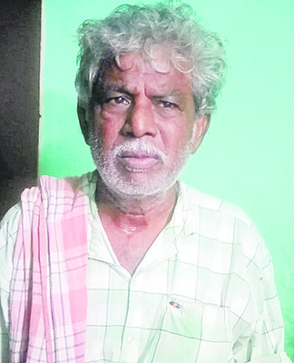 పొగాకు సాగు... భలే బాగు2