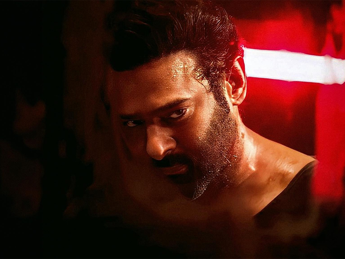 The Raja Saab : Tollywood Actor Prabhas HD Trending Photos9