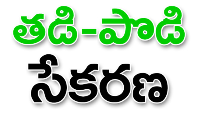 దేశంలో మొదటగా ‘పేట’లోనే..1