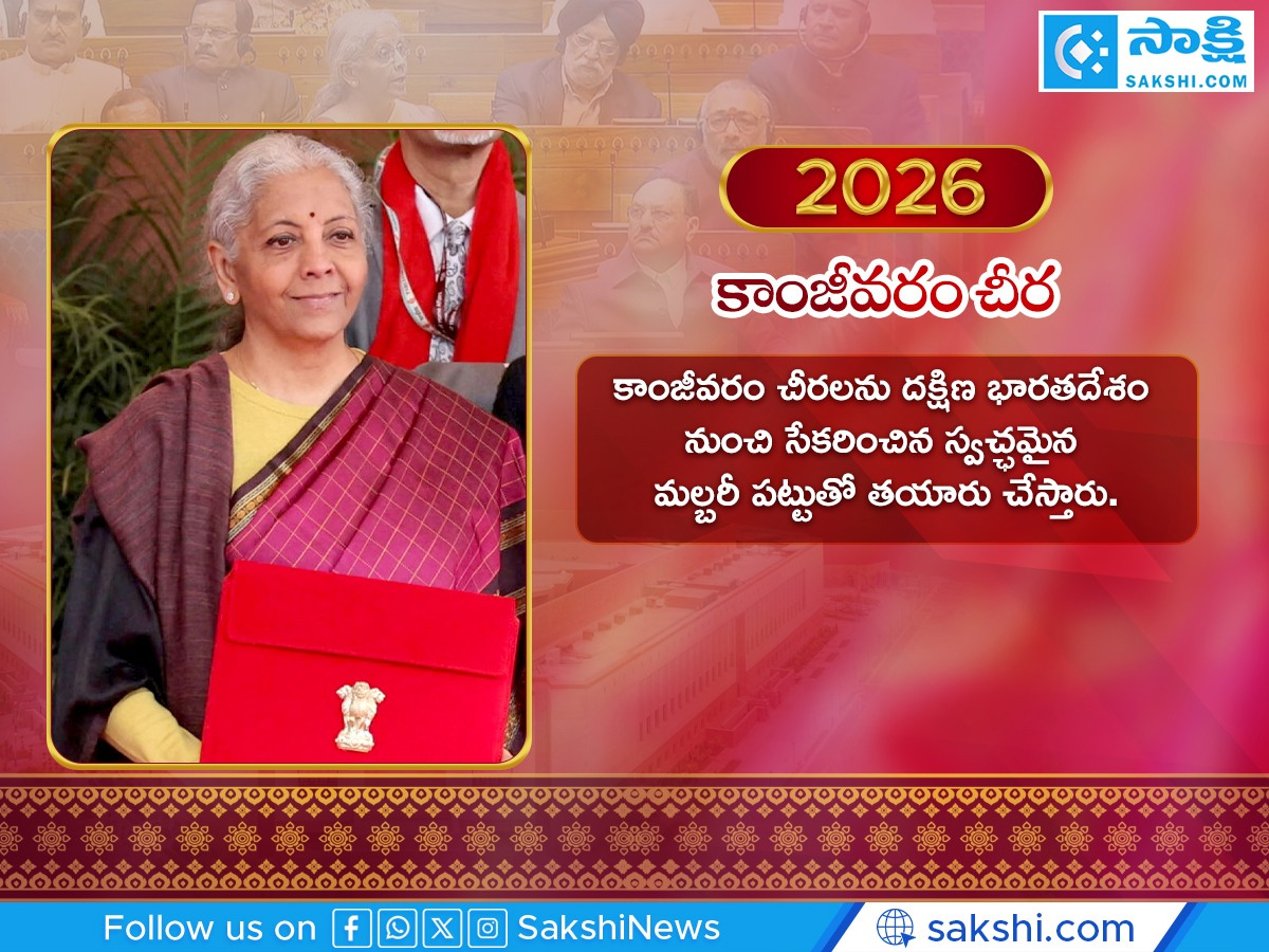 Nirmala Sitharaman Budget 2026 Sarees Special Year Wise Highlights11