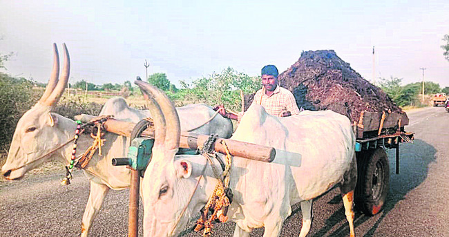 సేంద్రియం వైపు.. రైతు చూపు 1