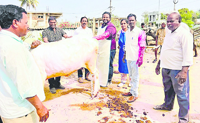 సమస్యల పరిష్కారానికే ప్రజాబాట : రమణారెడ్డి
1