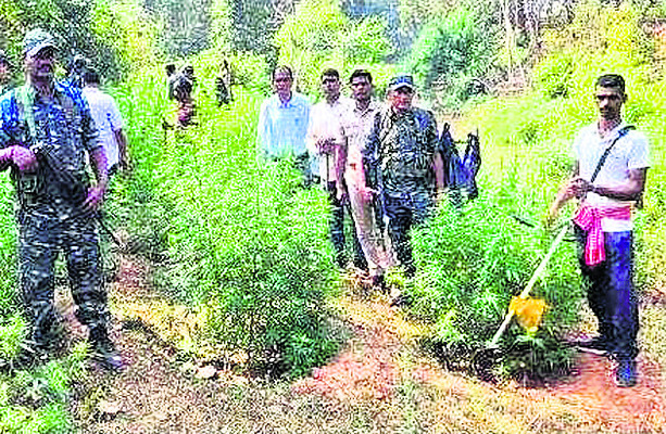 బిసంకటక్‌లో దారుణ హత్య 2