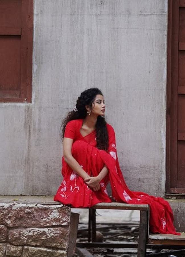 Anupama Parameswaran stuns in a floral saree (Photos)11