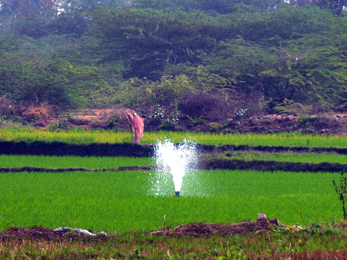Best Photos of The Week in AP and Telangana Photo Gallery2