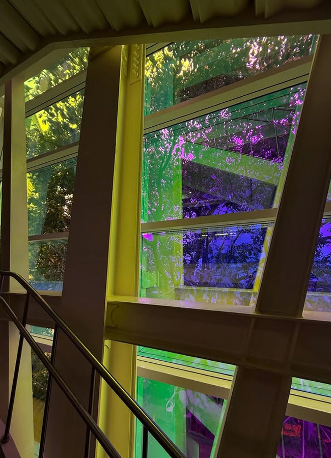 Rukmini Vasant shared the January things post (photos)9